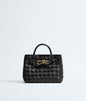 Bottega Veneta Mini Andiamo