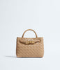 Bottega Veneta Mini Andiamo