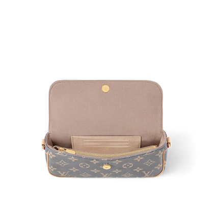 Louis vuitton Wallet on Chain Ivy